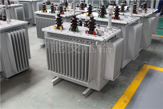 文山S22-100KVA/10KV/0.4KV变压器